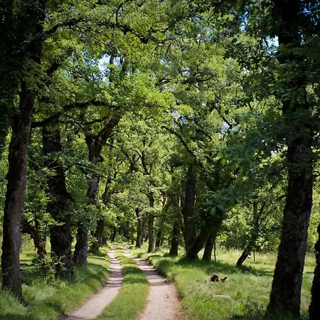 Domaine De Bach * Crégols