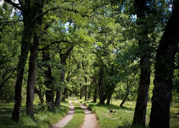 Domaine De Bach * Crégols